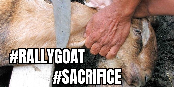 The Professor tweet media