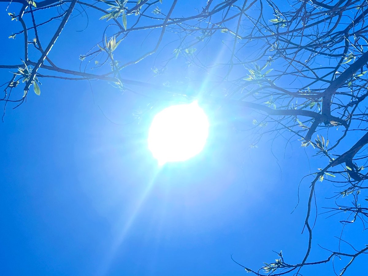 collectiveconsciousness tweet media