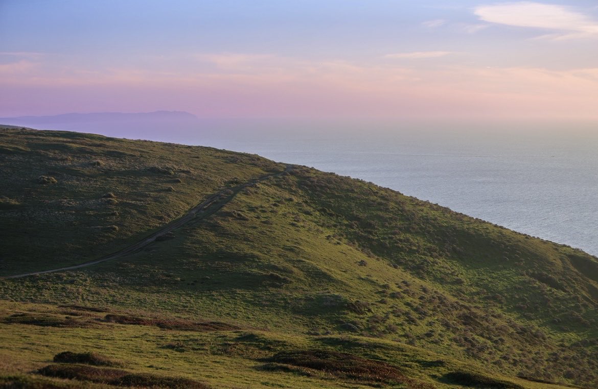 Caitlin Byrnes tweet media