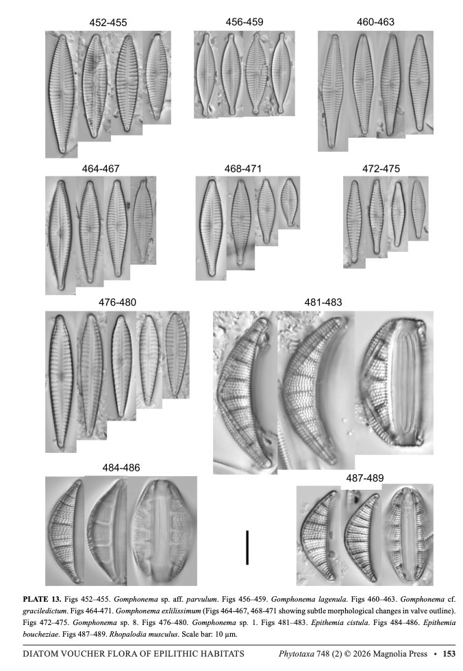 Karthick Balasubramanian tweet media