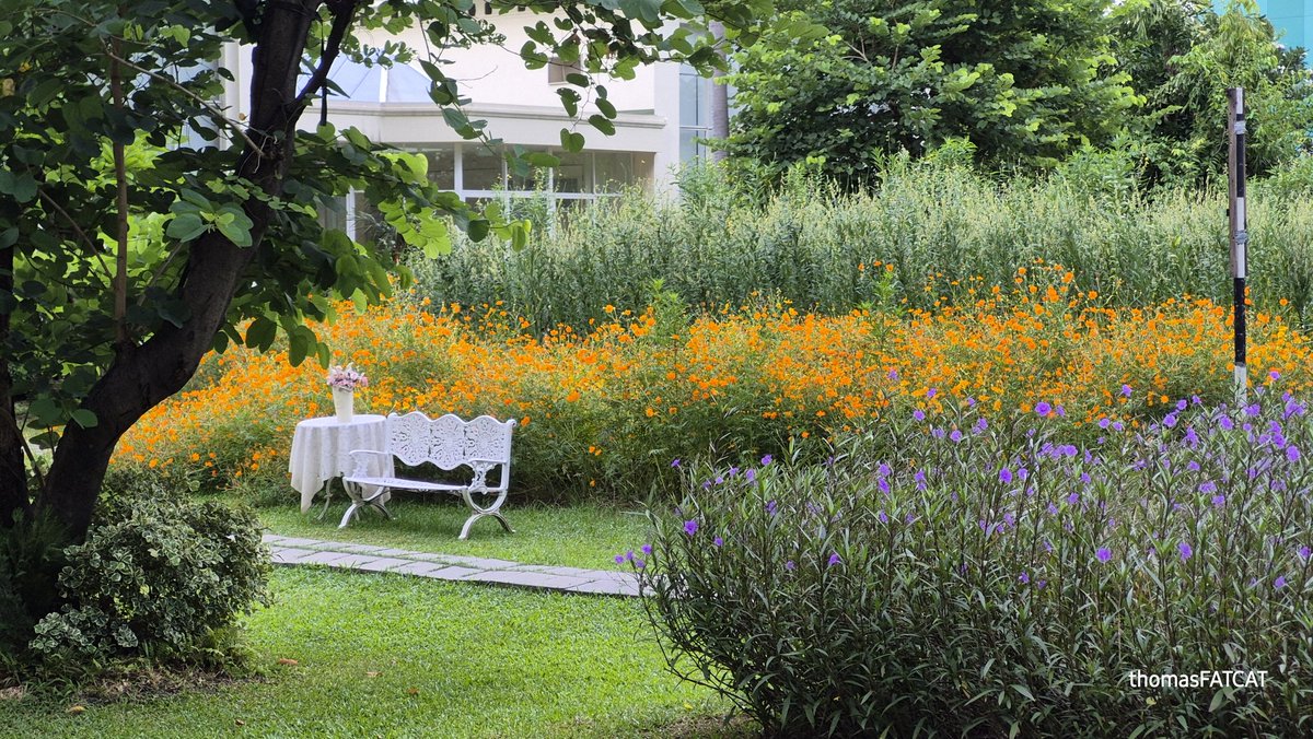 Soonthon Prueksapipat tweet media