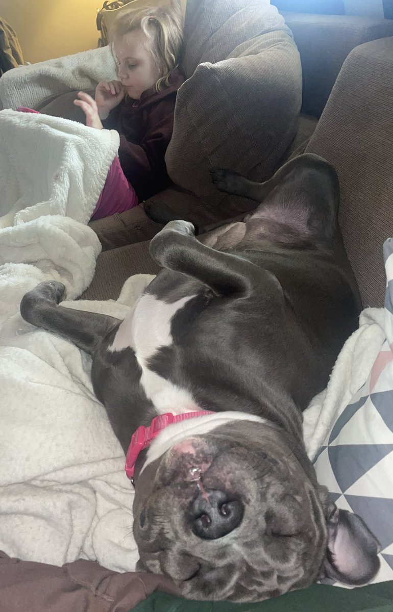 Phcuba Phteve tweet media