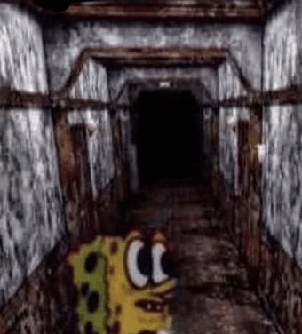 ✨⚠️Shadow⚠️✨💎🙌 tweet media