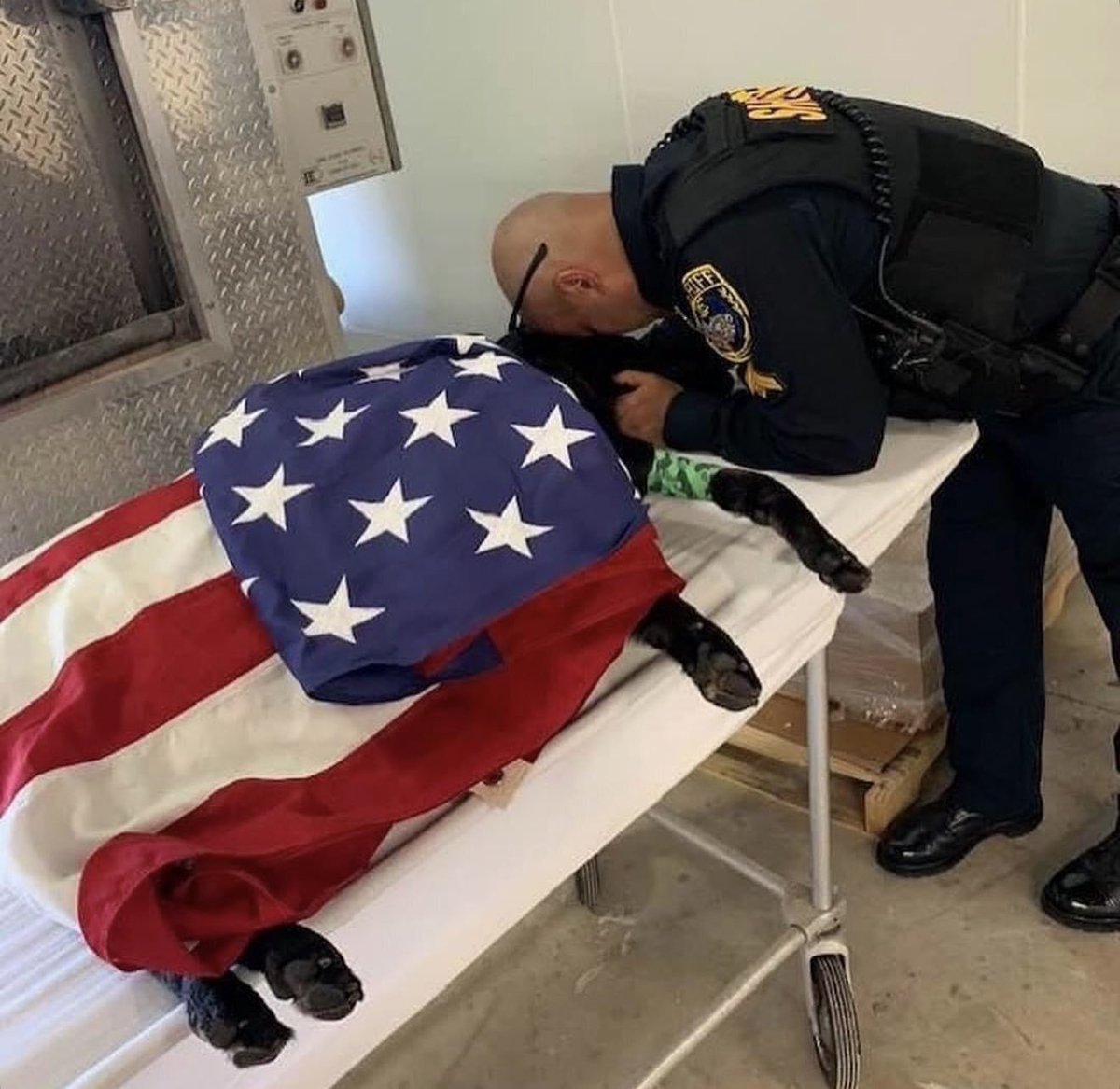 John _F. Kennedy Jr tweet media