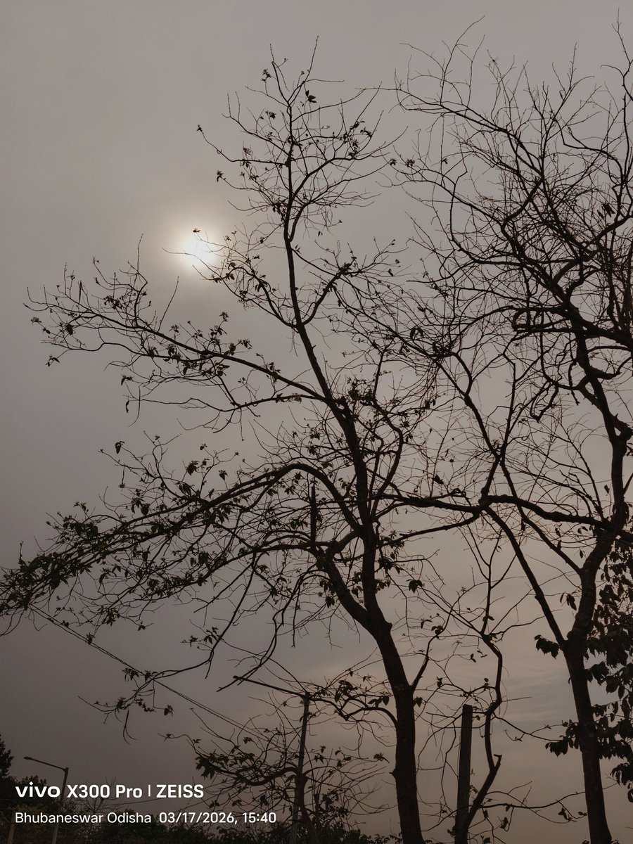 Dr. Malaya Mohanty 🇮🇳 tweet media