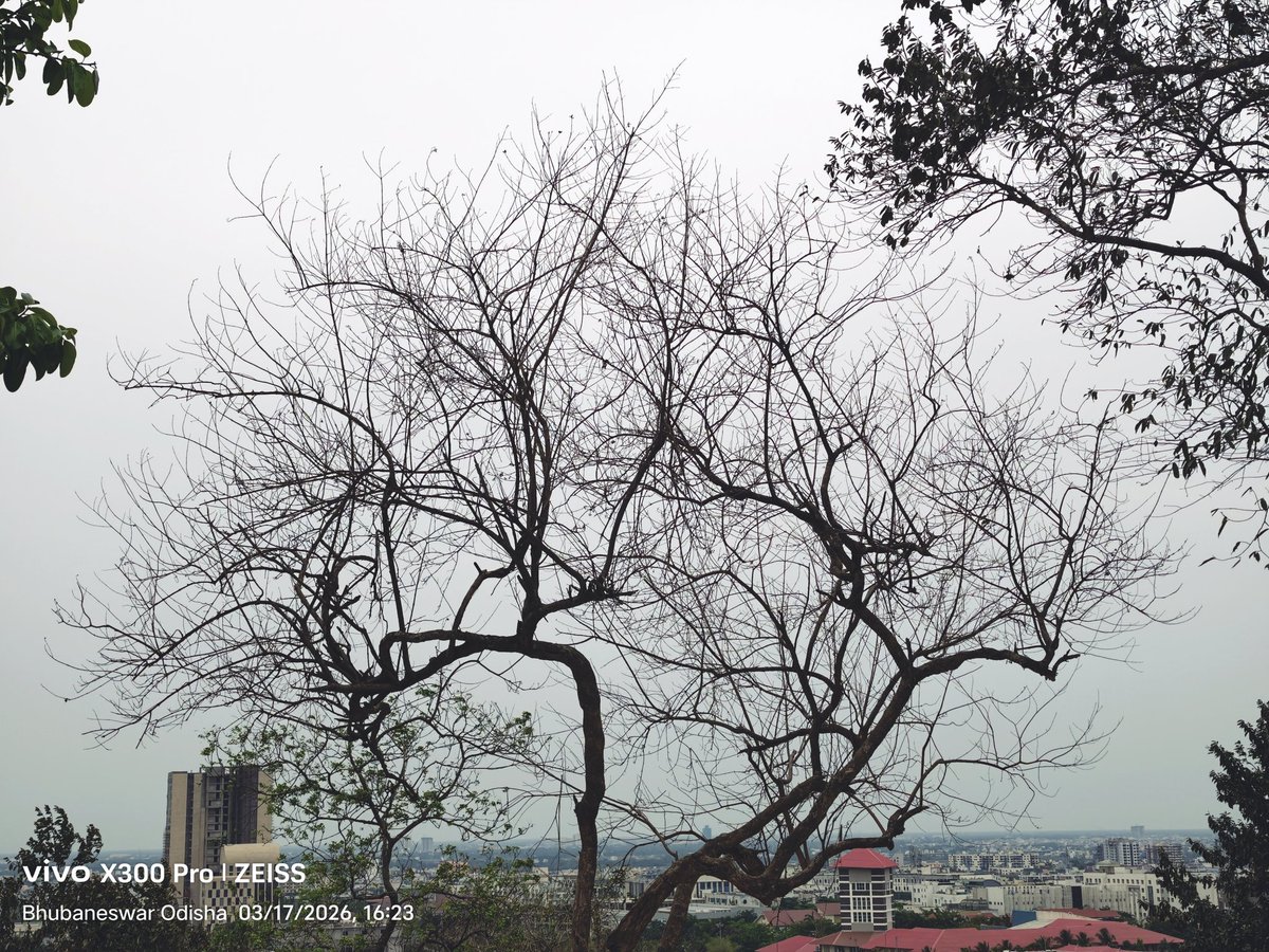 Dr. Malaya Mohanty 🇮🇳 tweet media