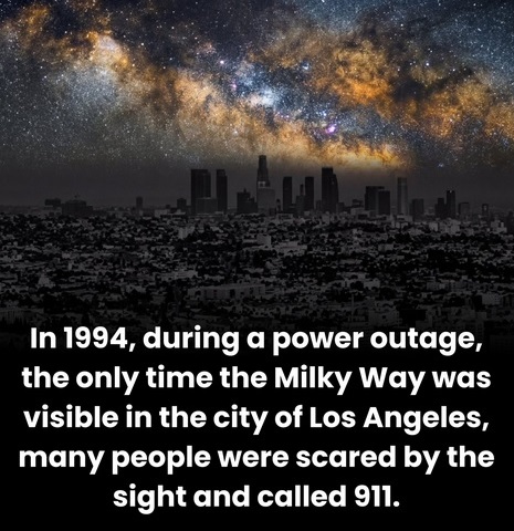 joe moran tweet media