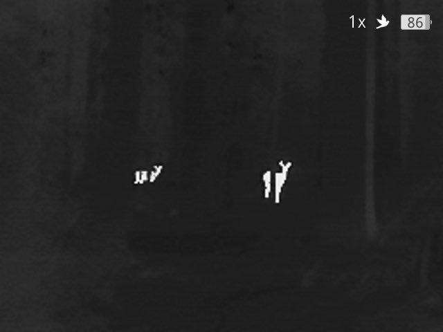 Rob Wright Images tweet media