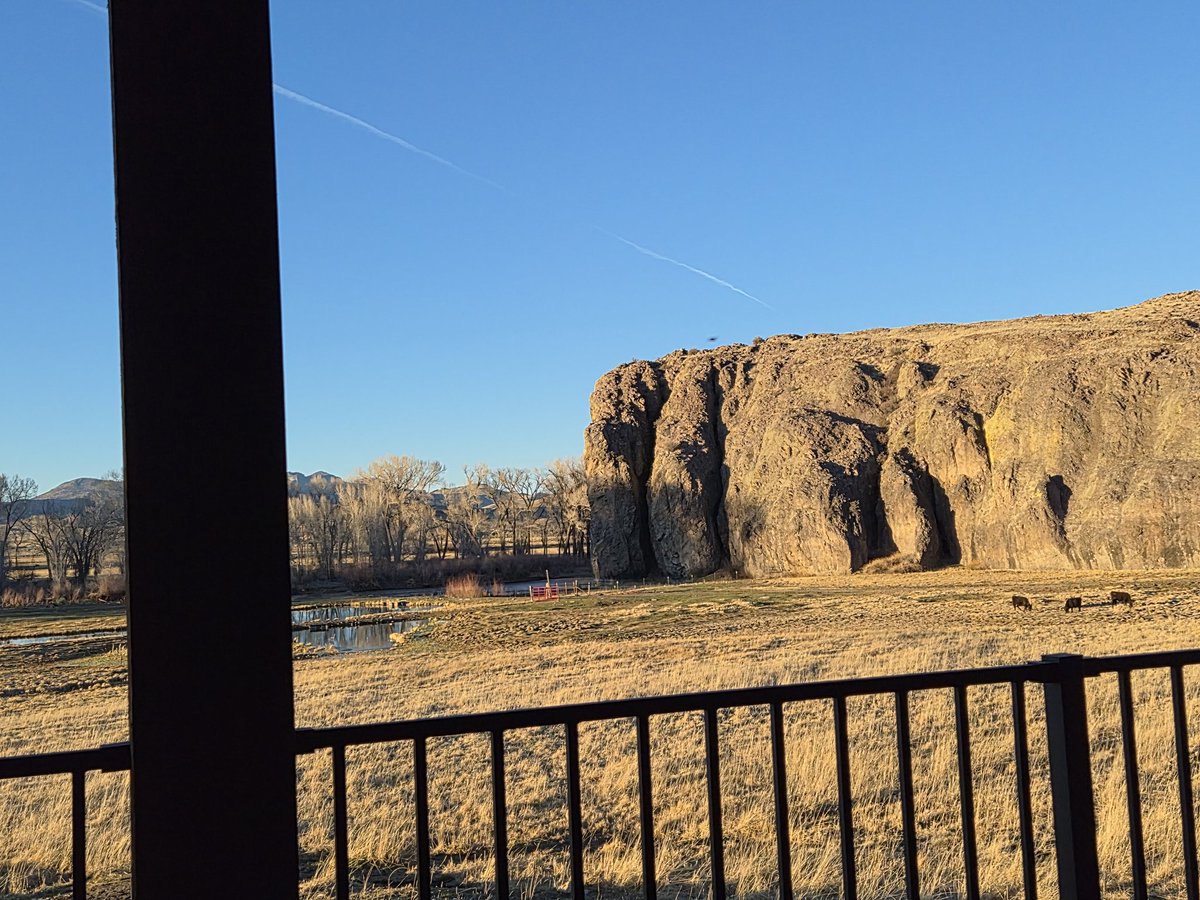 Casey Kimbrell tweet media