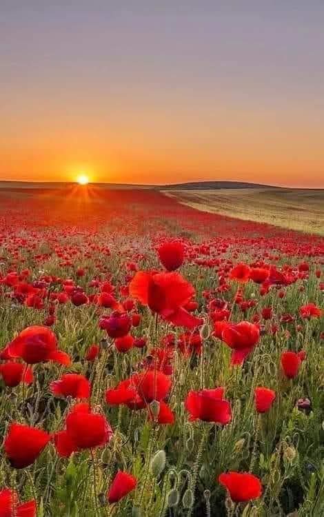 𝔦∂ΙЄGO tweet media