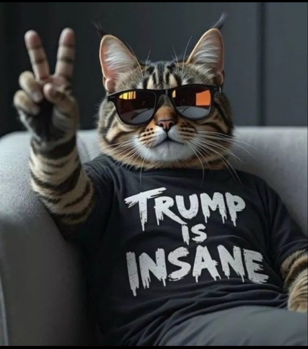 Trump and Netanyahu belong in Prison tweet media