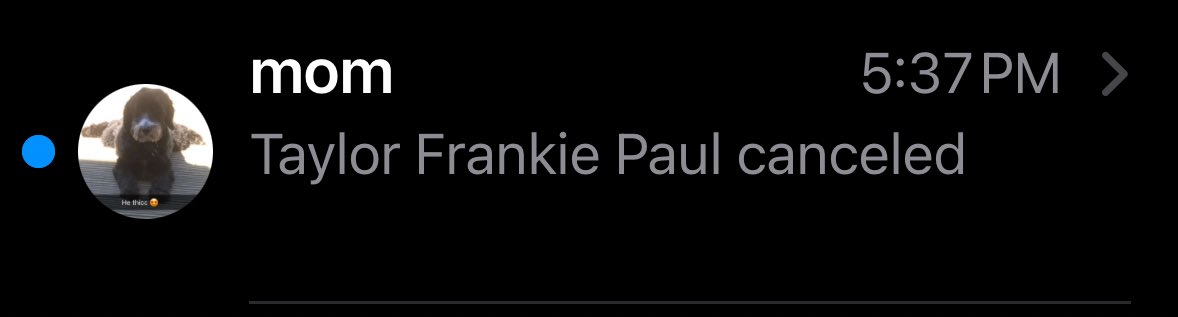 annabelle :3 tweet media