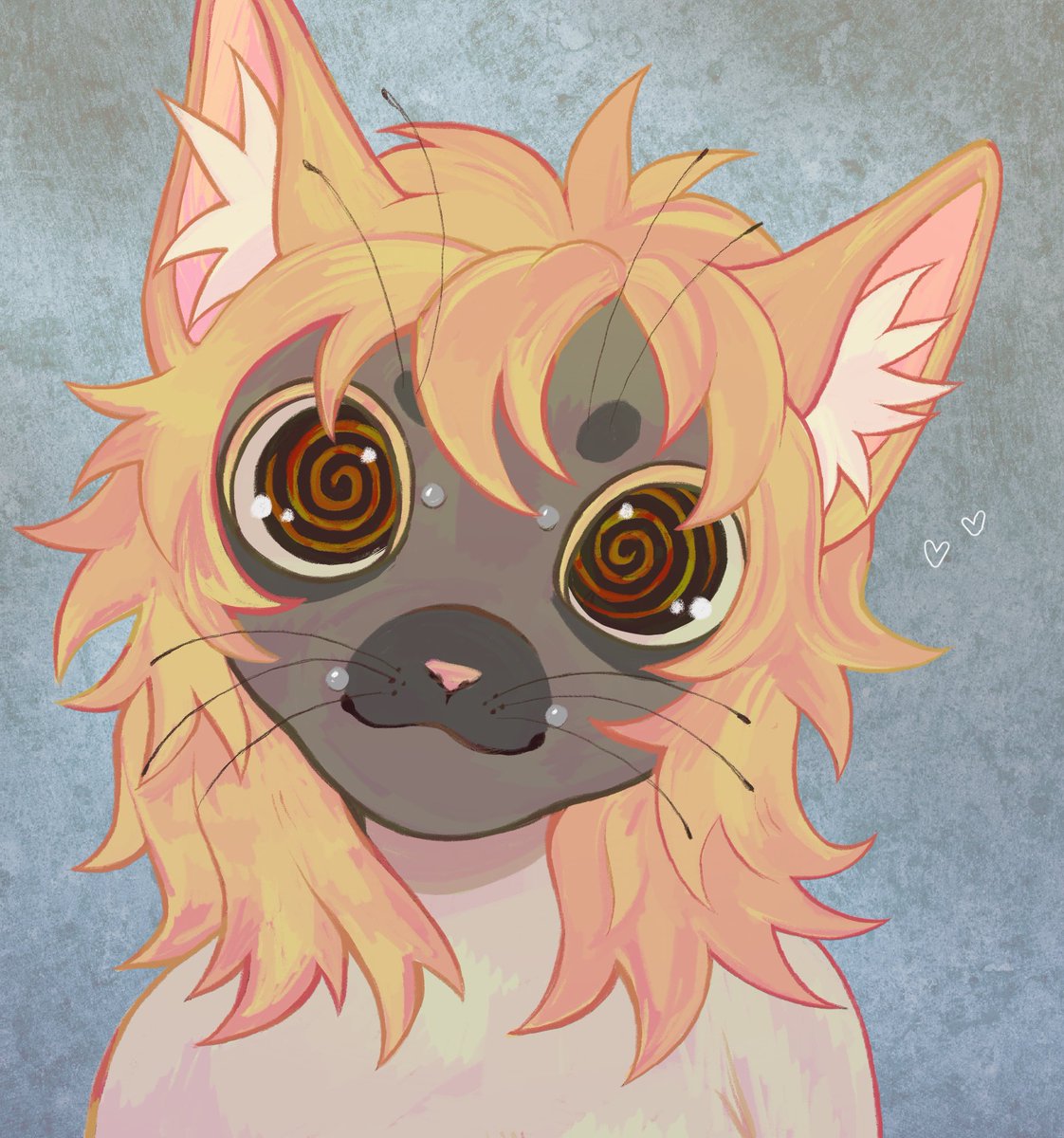 cola 🐾 tweet media