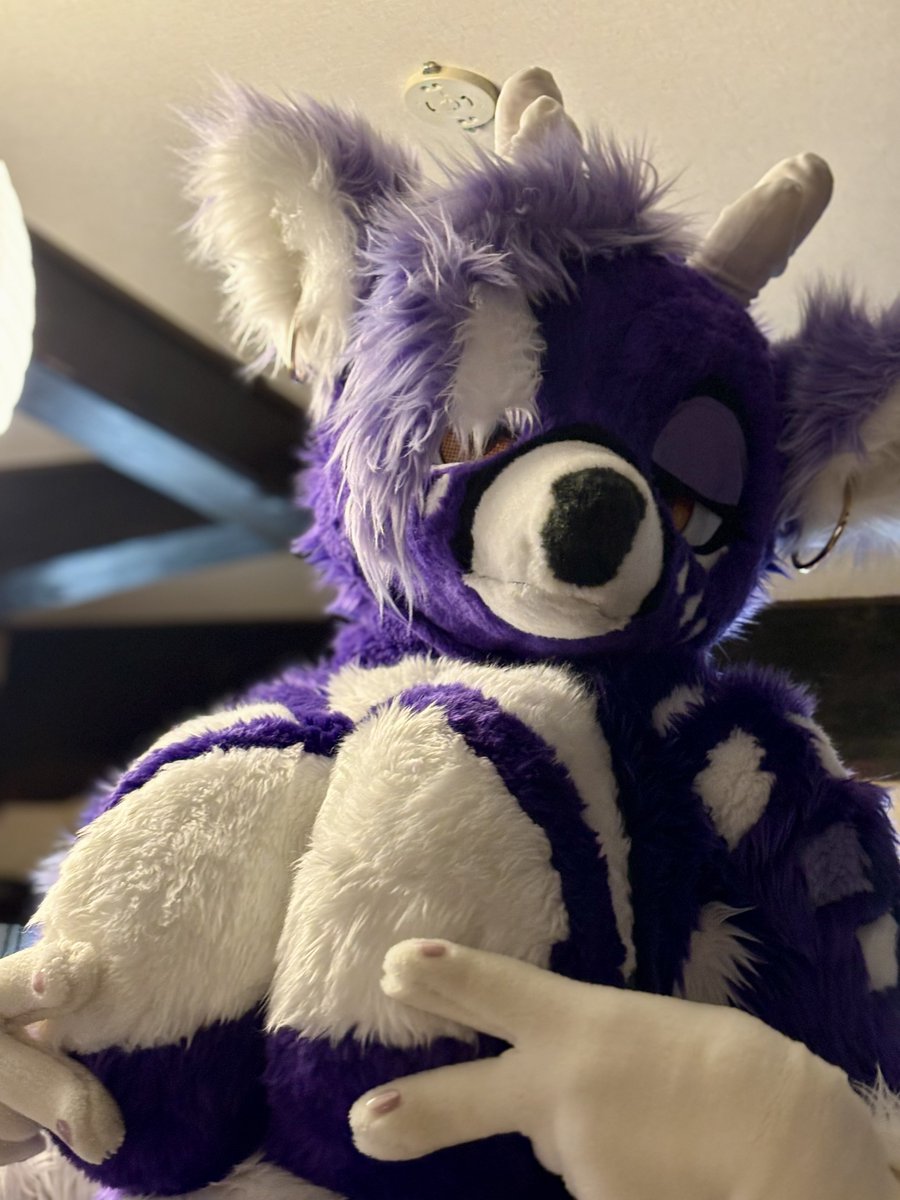 がるふぁ@ロノア&狩亜 tweet media