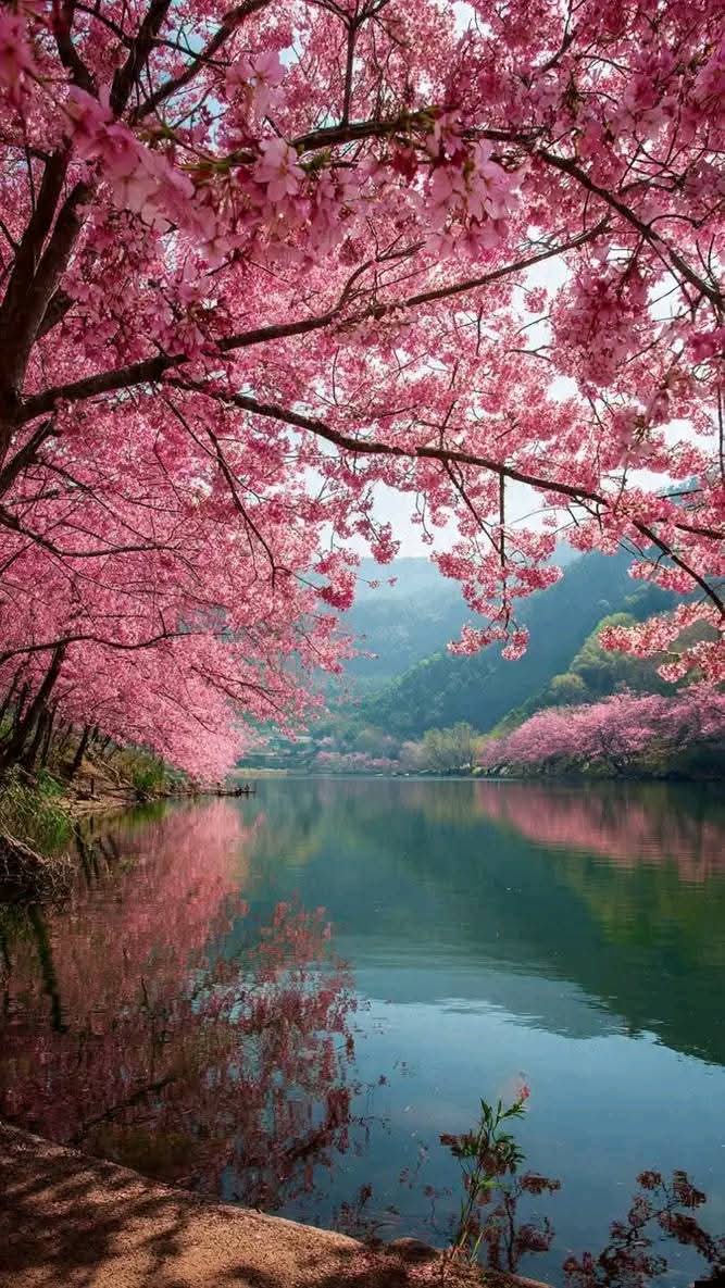 𝔦∂ΙЄGO tweet media