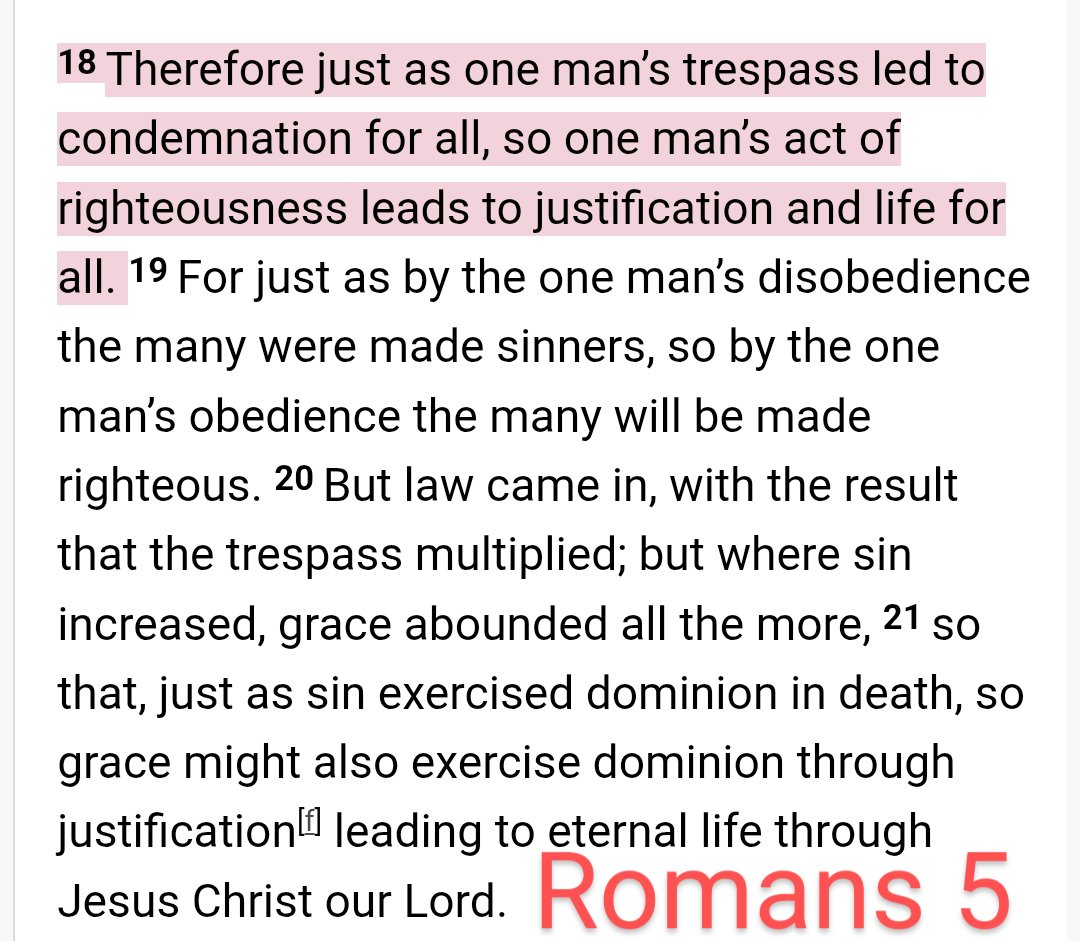 HabitualLinestepper tweet media