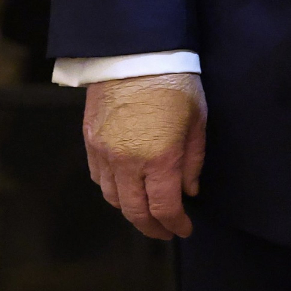 Annalea 🪷🐝🌻 tweet media