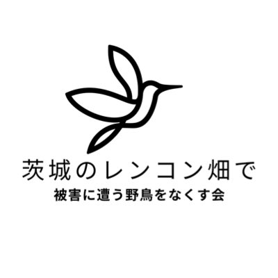 茨城レンコン畑で被害に遭う野鳥をなくす会 tweet media