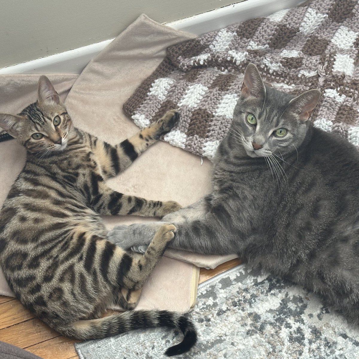 liz 💕 tweet media