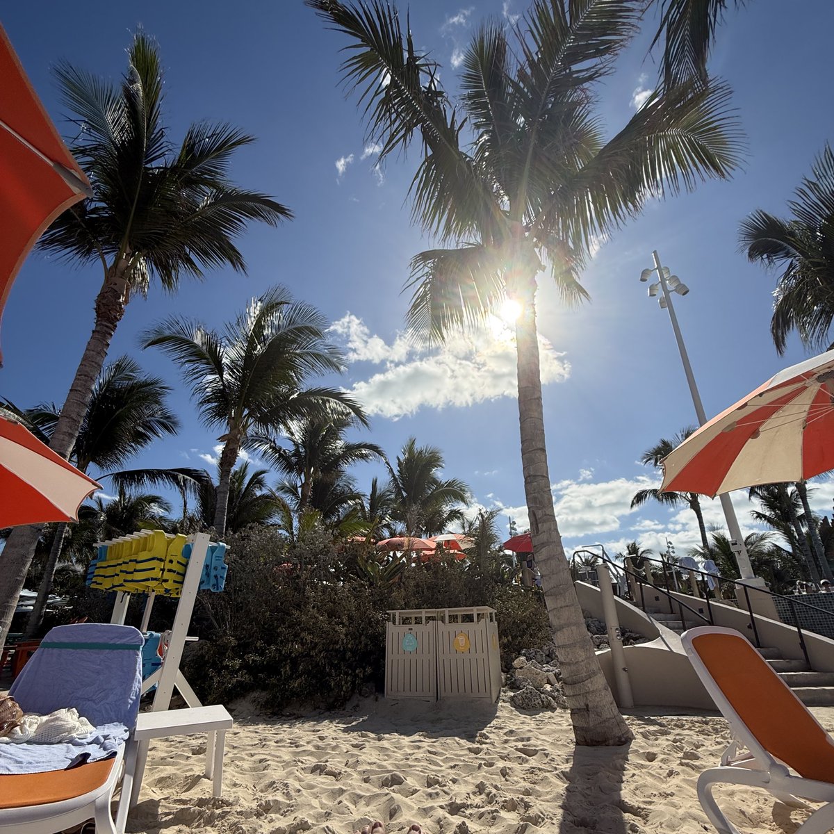 liz 💕 tweet media