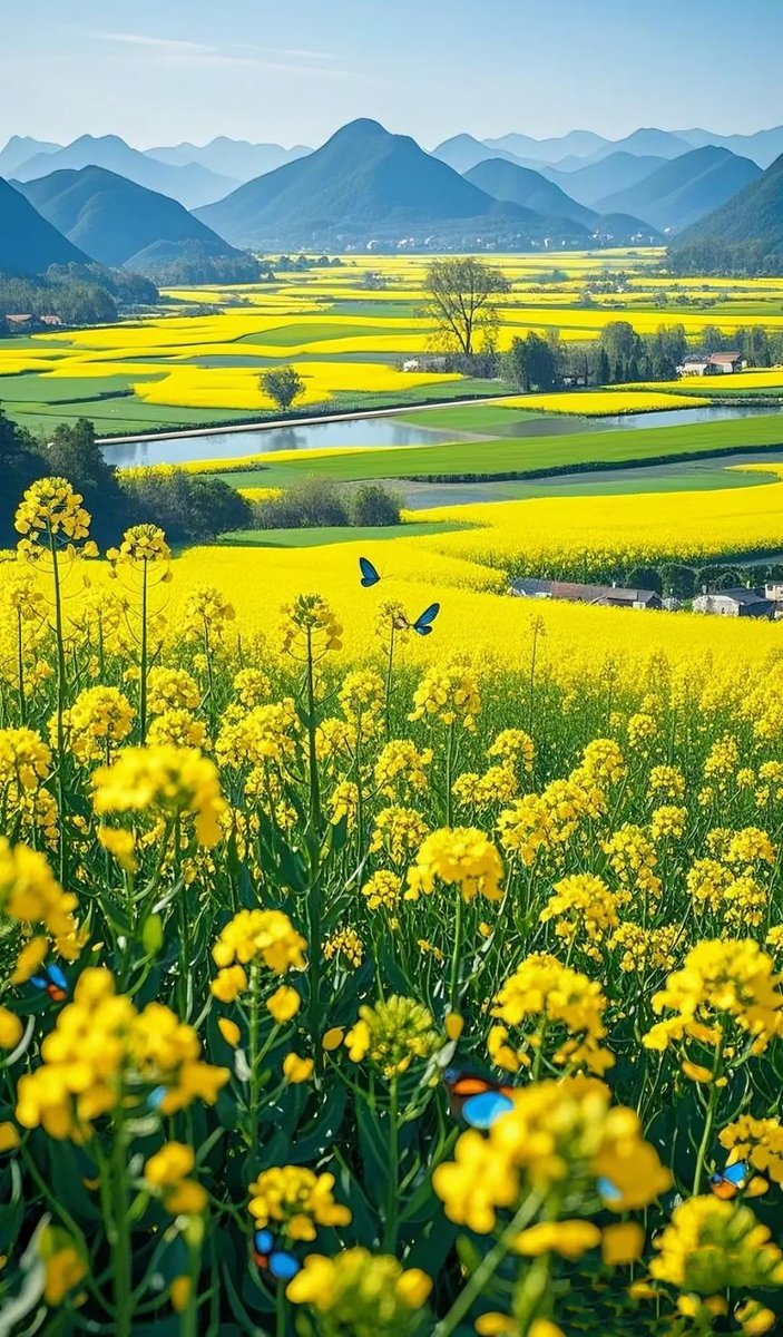 悠然怡梦（100%互fo，关注受限，解除即关！) tweet media