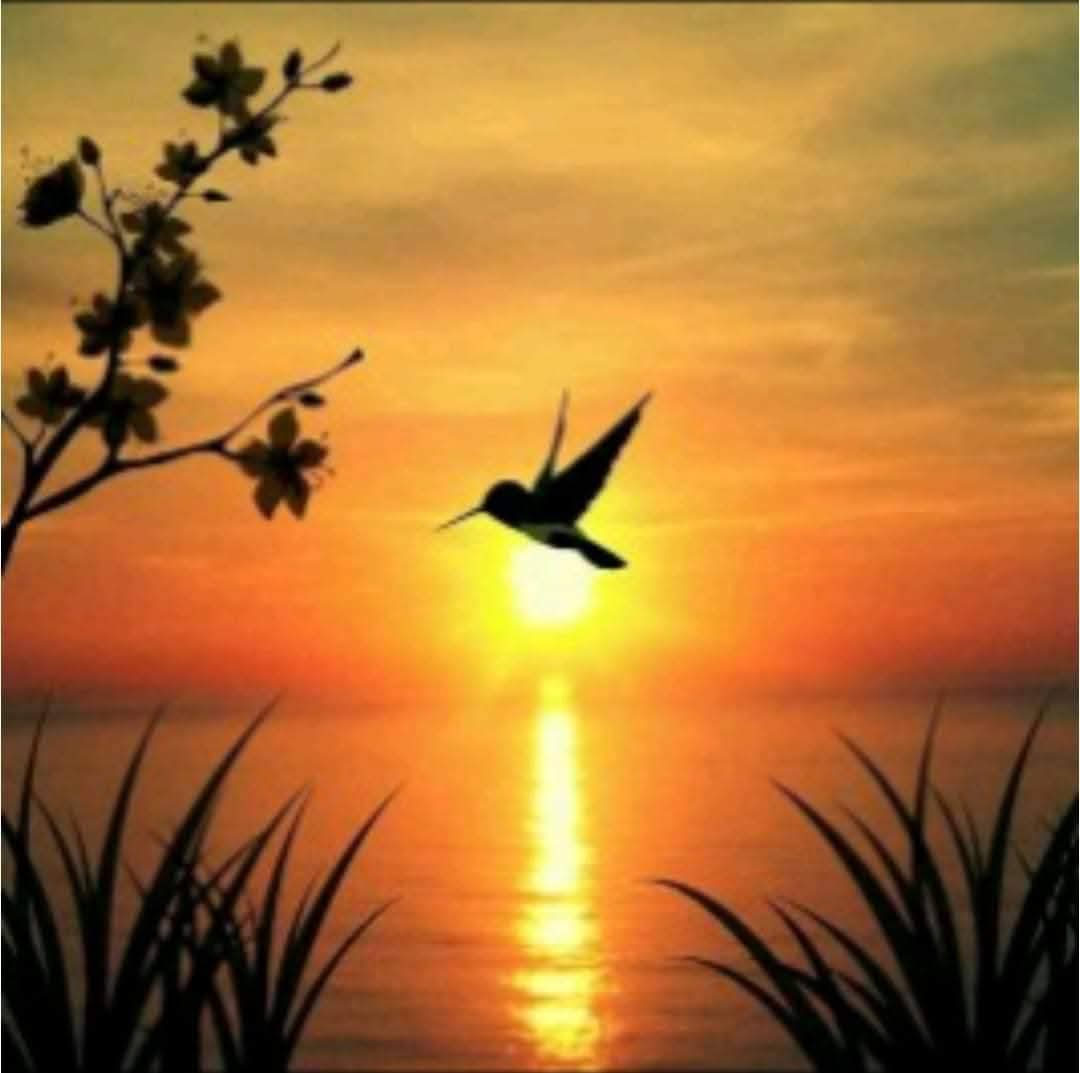 𝔦∂ΙЄGO tweet media