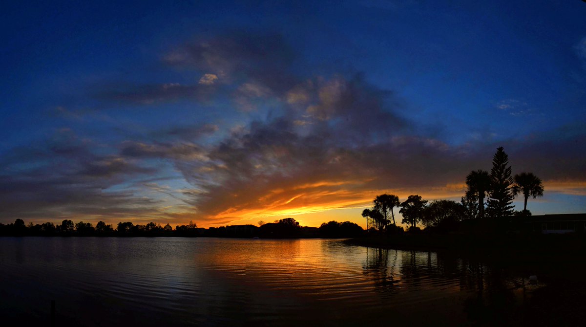 Sky Watcher (Leesa Brown) tweet media