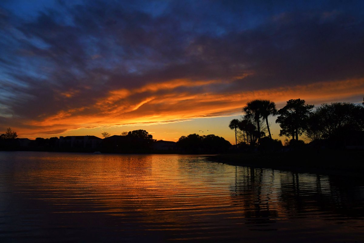 Sky Watcher (Leesa Brown) tweet media