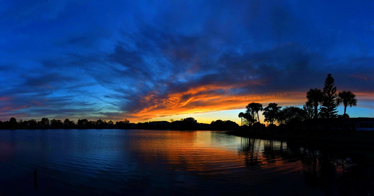 Sky Watcher (Leesa Brown) tweet media