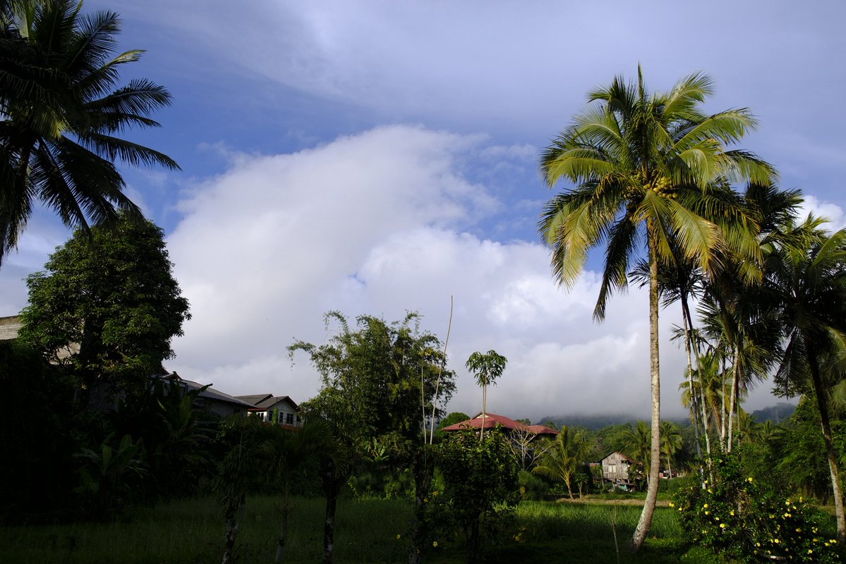 🌊파레 tweet media