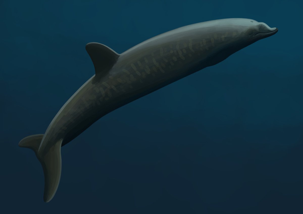 Aberrantologist tweet media