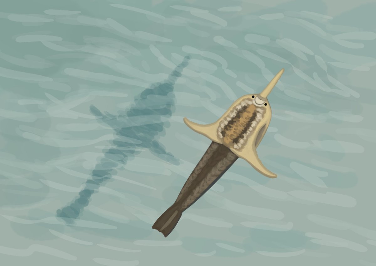 Aberrantologist tweet media