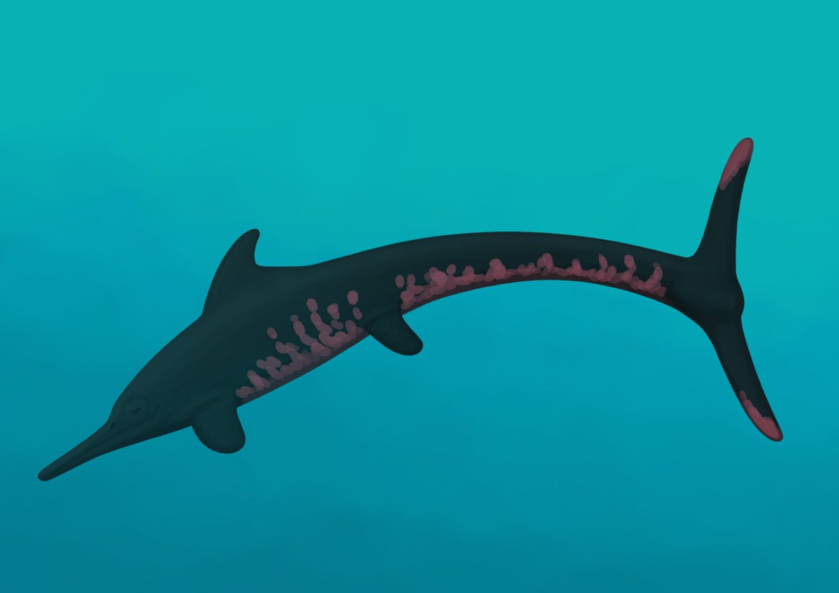 Aberrantologist tweet media