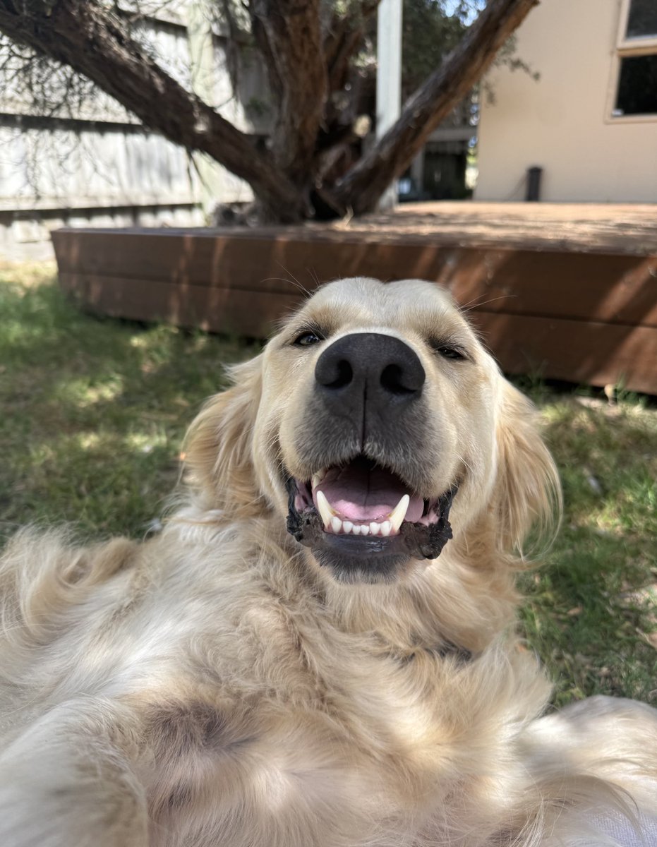 Stephanie ♡ tweet media