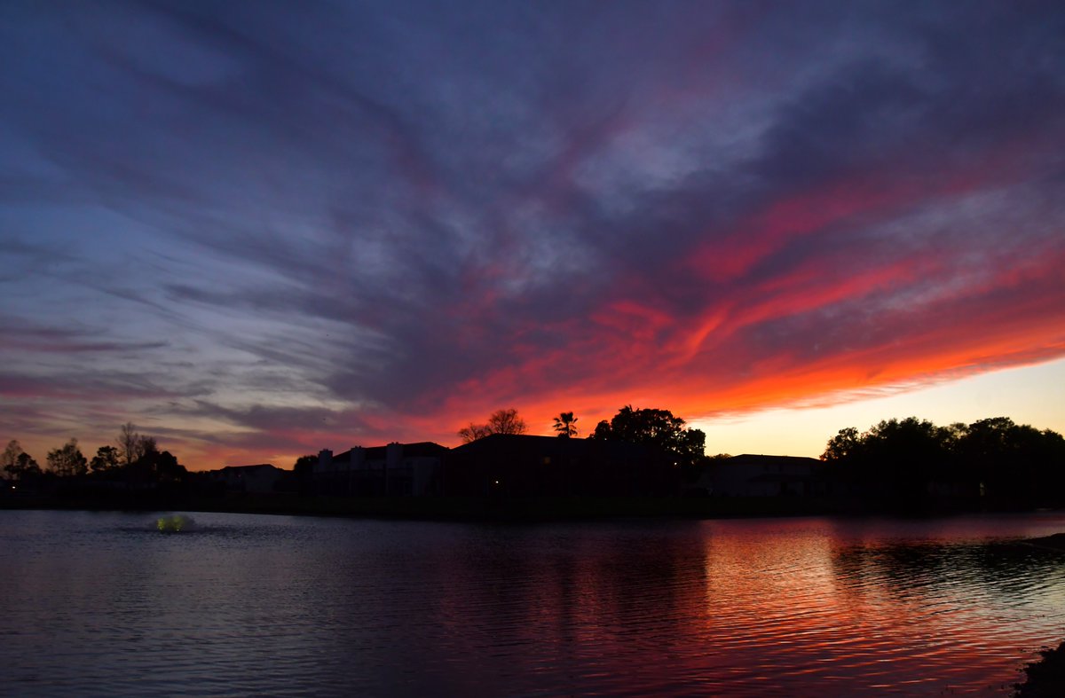 Sky Watcher (Leesa Brown) tweet media