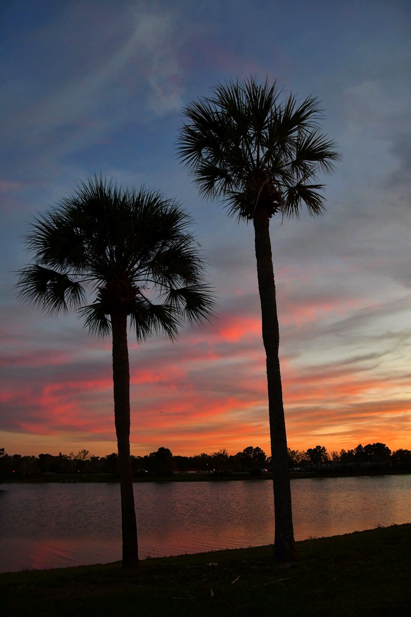 Sky Watcher (Leesa Brown) tweet media