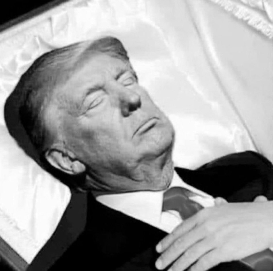 FLY EAGLES FLY - 4EVERw/HRC_InsurrectionIsIllegal tweet media