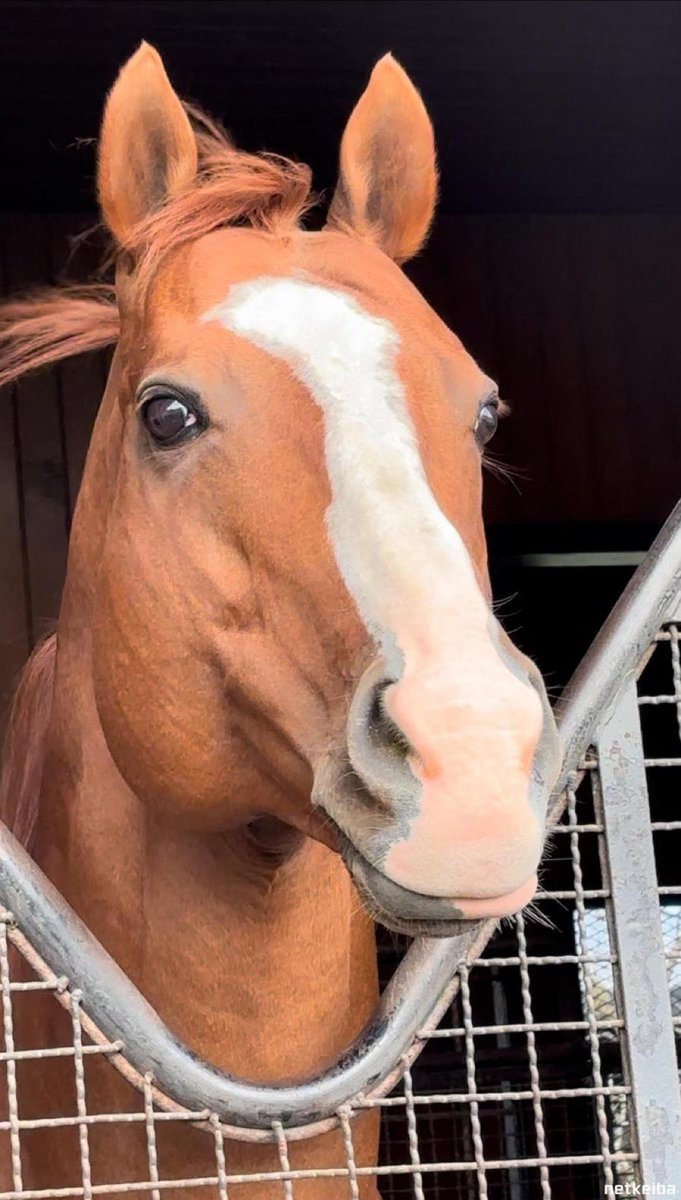 Veckle | Vodka80Proof tweet media