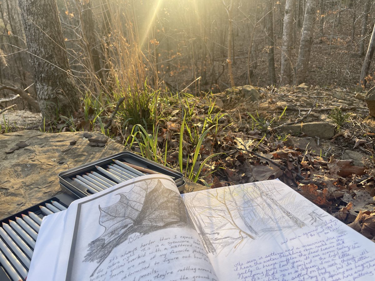 ๐๐๐๐๐ค๐ ๐ ๐๐ ๐ ๐๐ค tweet media