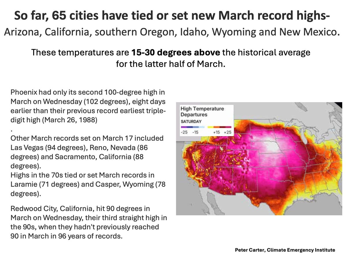 Peter D Carter tweet media