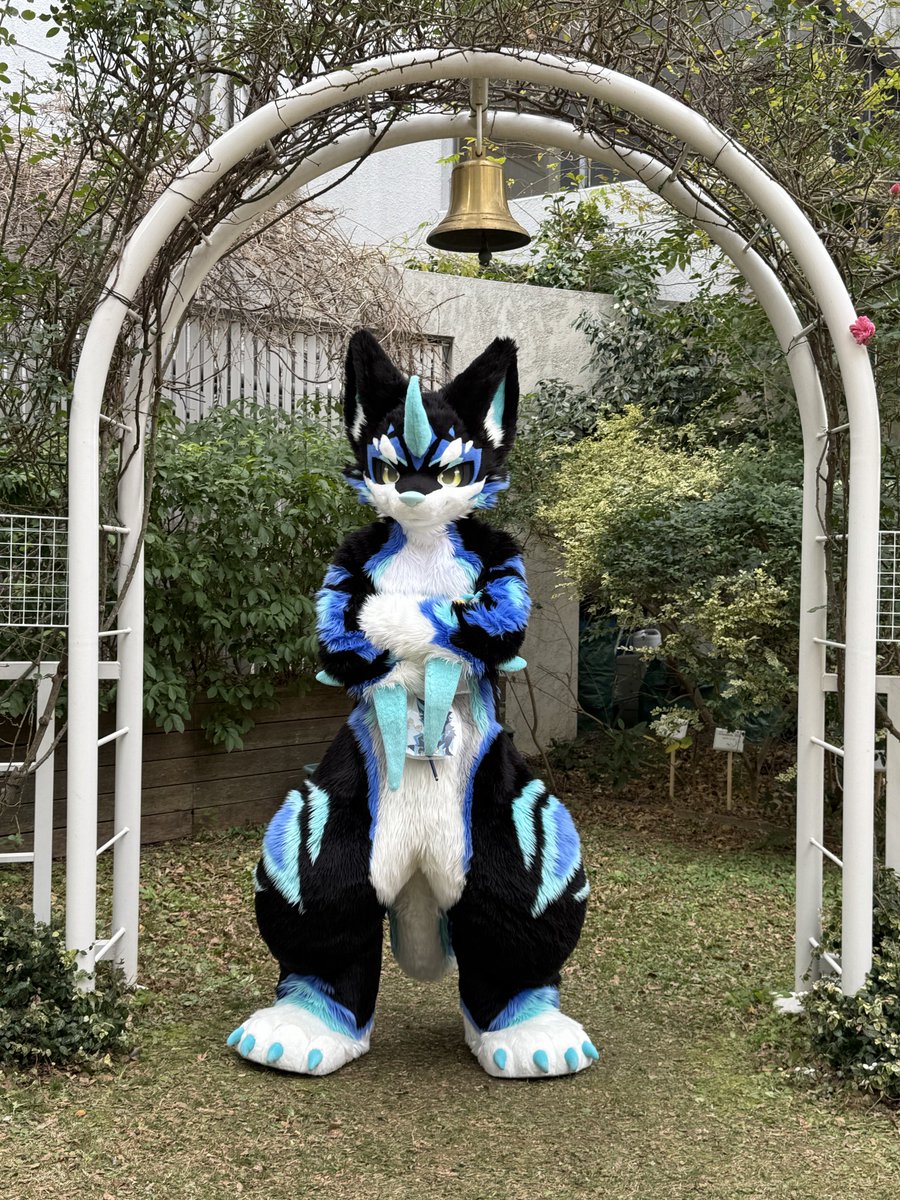 あせろ tweet media