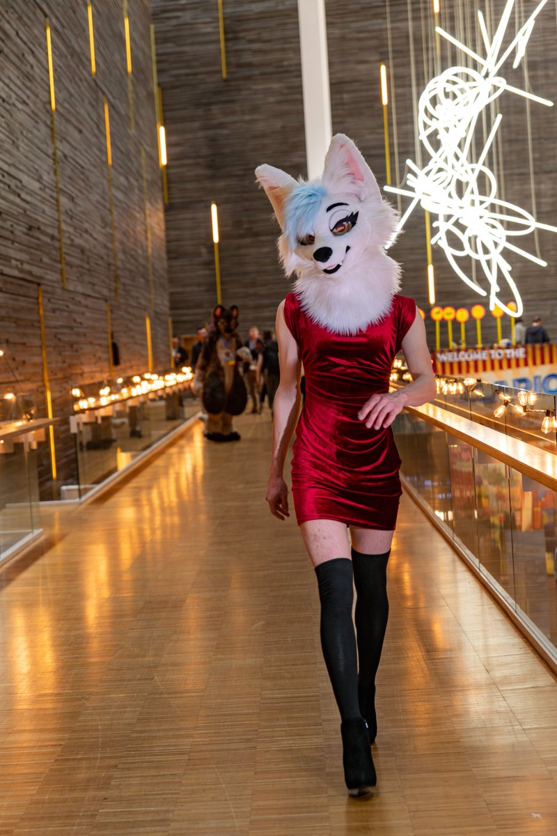 Synthie→AWO, EF tweet media