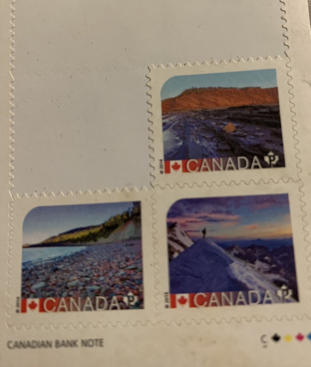 MBrant75 tweet media