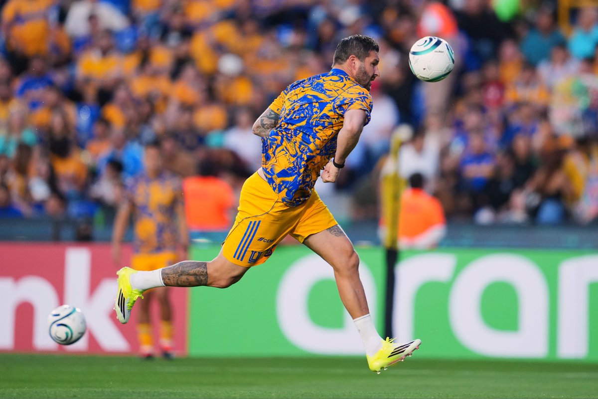 TigresOficial's tweet image. ¡Con todo! 👊