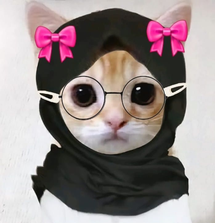 Rune. REST tweet media