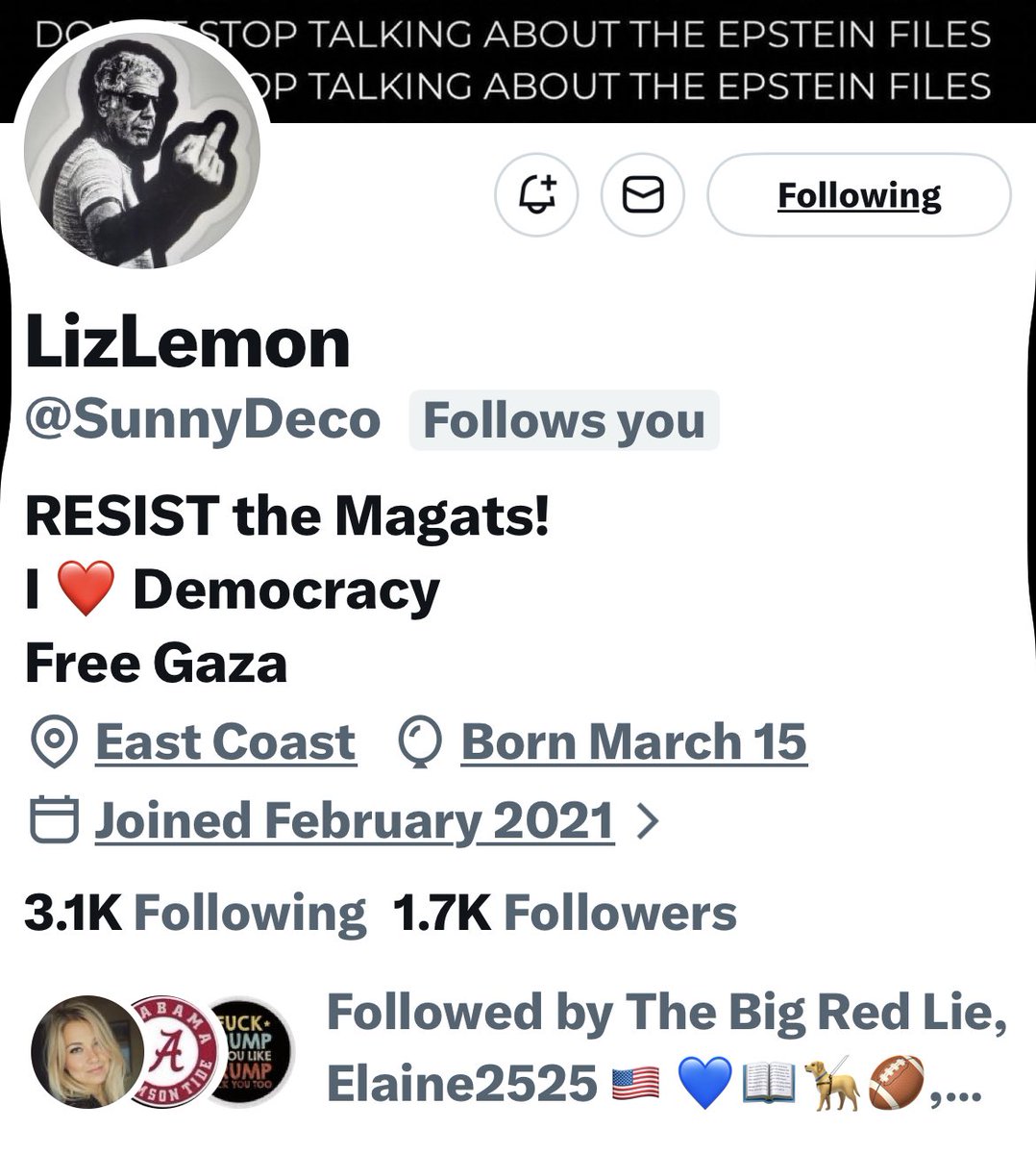 Turquoise Cat tweet media