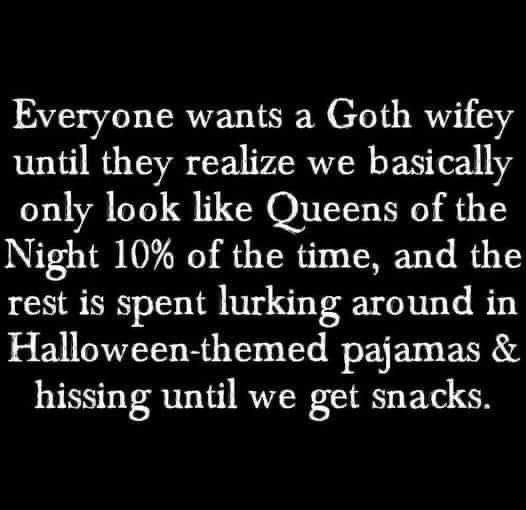 Special Agent Nunya .007 🍉 tweet media