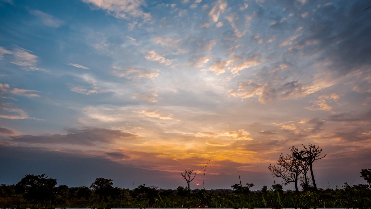 Two Servants Tours and Safaris tweet media