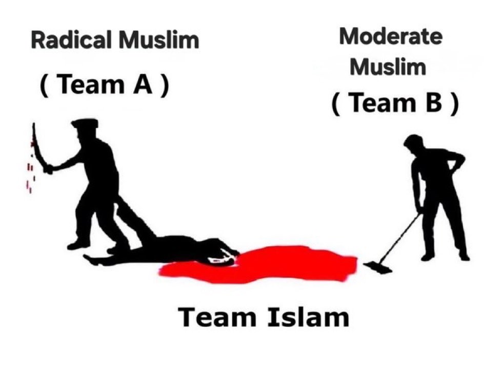 Sh*tcoin-enthusiast tweet media