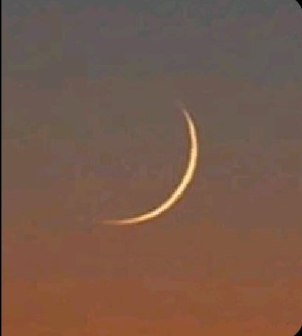 MaryaHaq tweet media